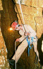 Descida do po&ccedil;o